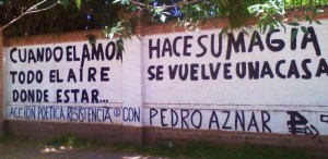 Acción Poética Resistencia