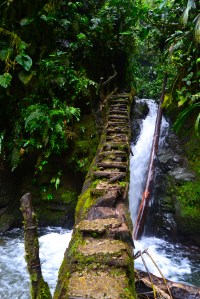 Santuario de cascadas