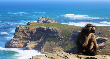 Cape Point