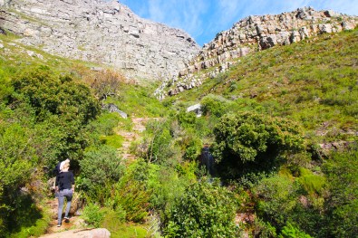 Camino a Table Mountain