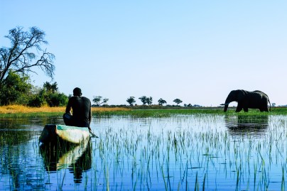 Delta de Okavango (2)