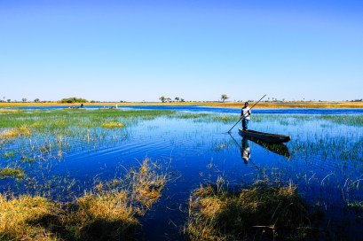 Delta de Okavango (52)
